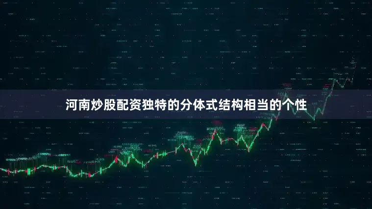 河南炒股配资独特的分体式结构相当的个性