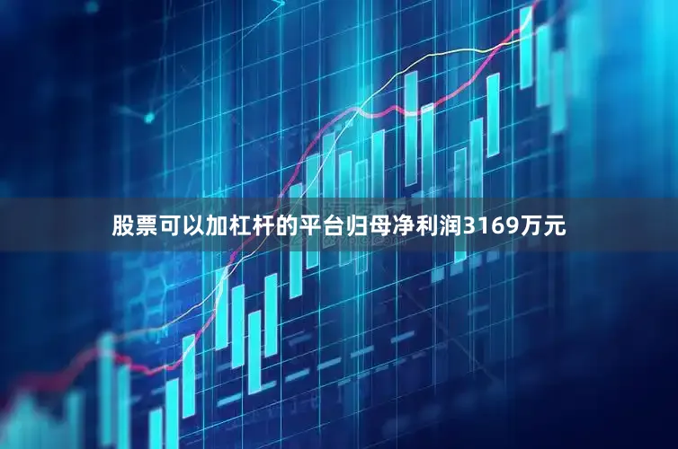 股票可以加杠杆的平台归母净利润3169万元