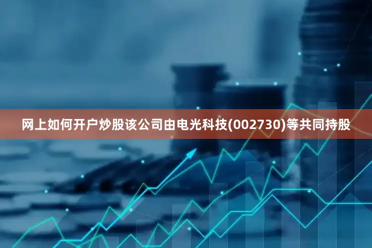 网上如何开户炒股该公司由电光科技(002730)等共同持股