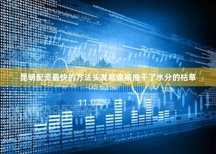 昆明配资最快的方法头发就像被抽干了水分的枯草