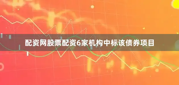 配资网股票配资6家机构中标该债券项目