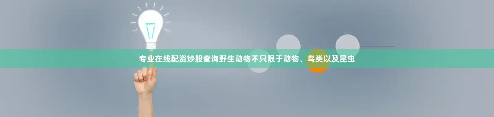 专业在线配资炒股查询野生动物不只限于动物、鸟类以及昆虫